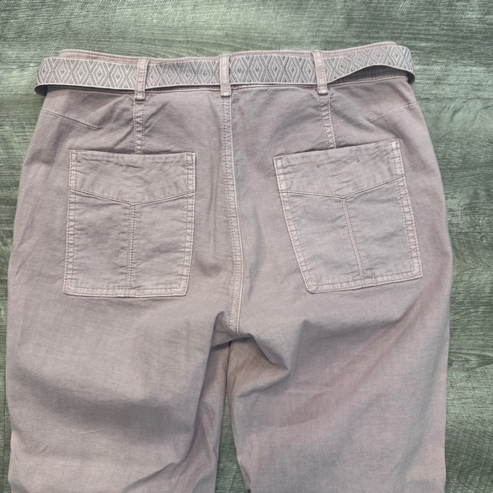 Anthropologie Pink Belted Wanderer Twill Ankle Pants Straight Leg Womens Sz. 26 - Picture 5 of 8